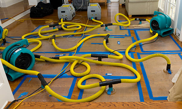Professional Water Damage Restoration technician working in East Schodack, NY